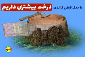 تلفات برق در البرز کاهش یافته است/نجات جان 320 درخت با حذف قبوض کاغذی