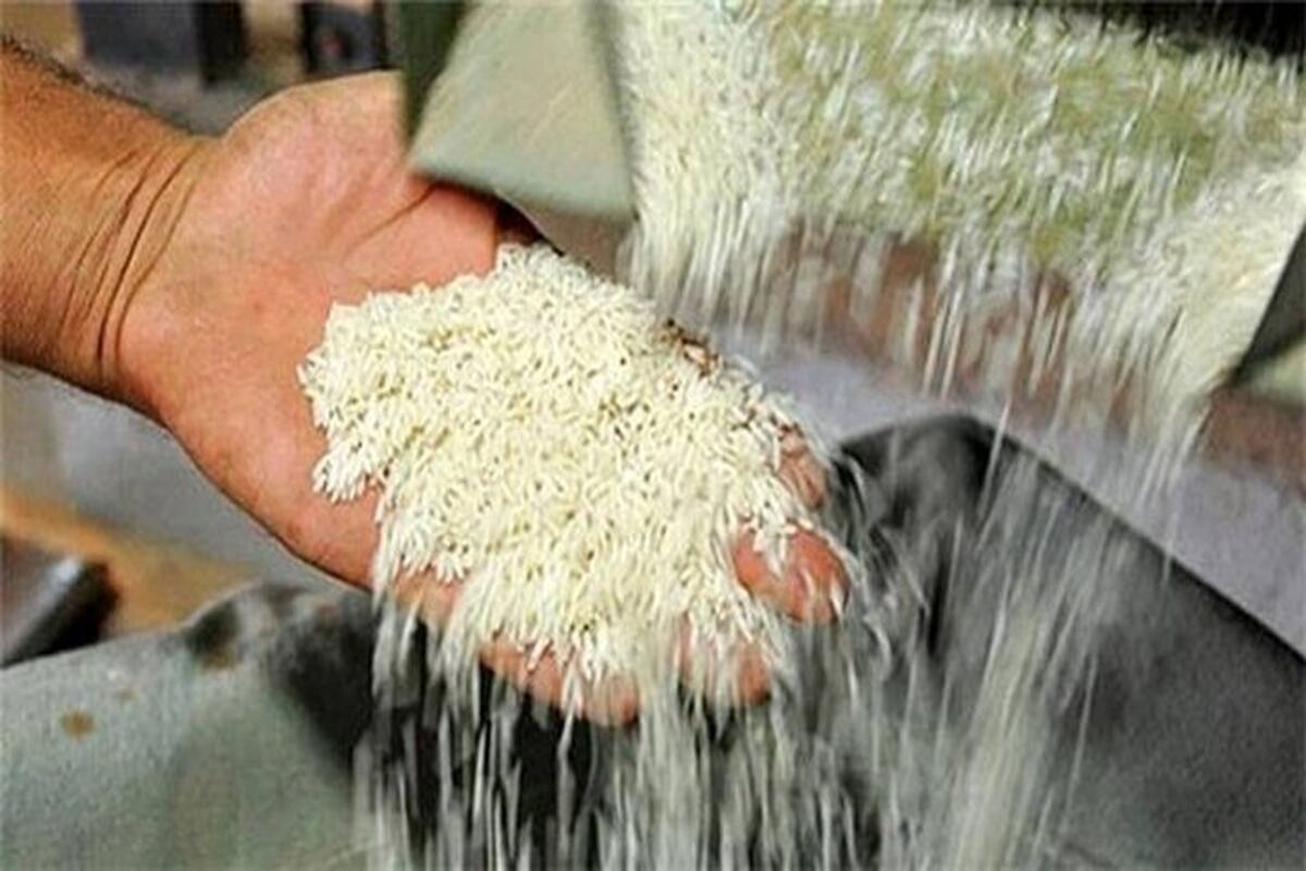 برنج