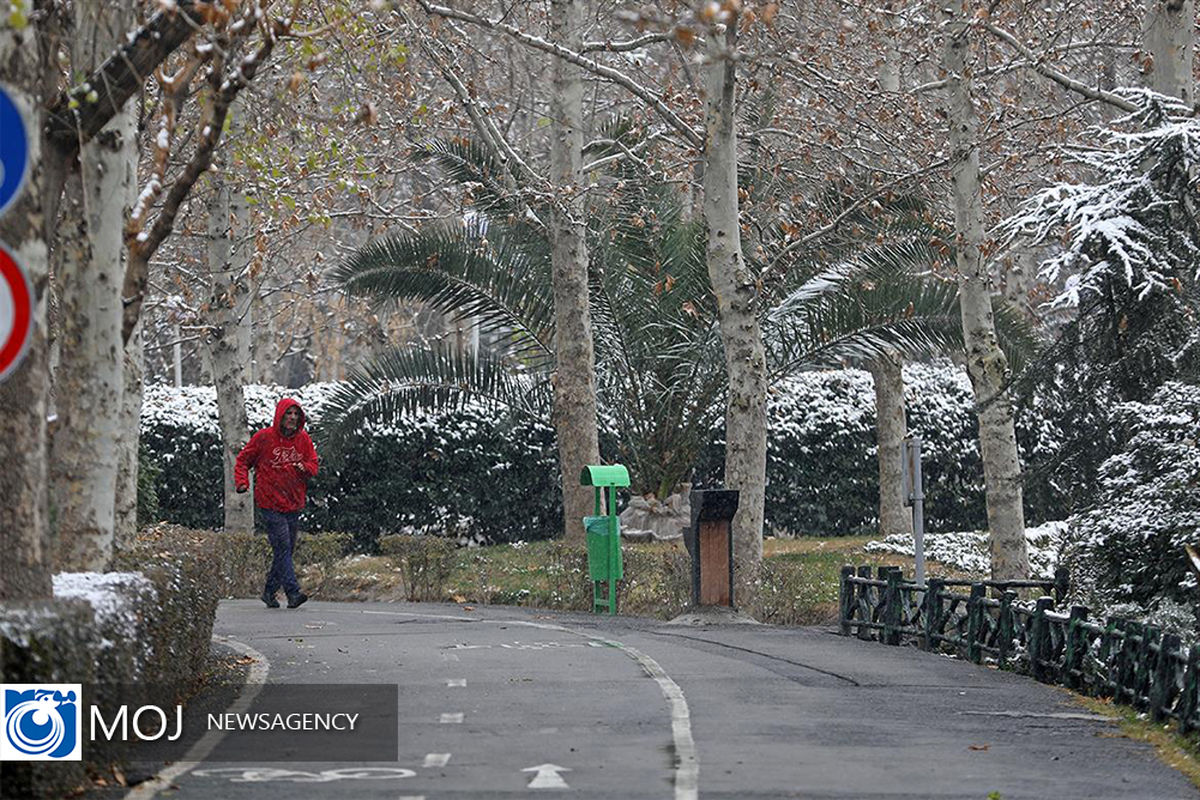 بارش برف در تهران
