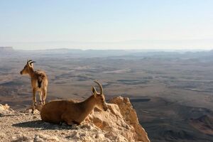 درهای مناطق حفاظت شده به روی گردشگران باز است