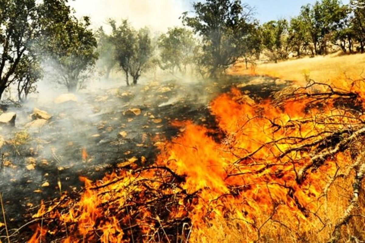 آتش‌سوزی‌های منابع طبیعی کرمانشاه