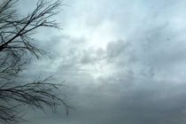 رشد ابر و رگبار پراکنده باران در ارتفاعات 