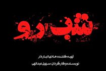 سریال «شب رو» وارد مرحله پیش تولید شد