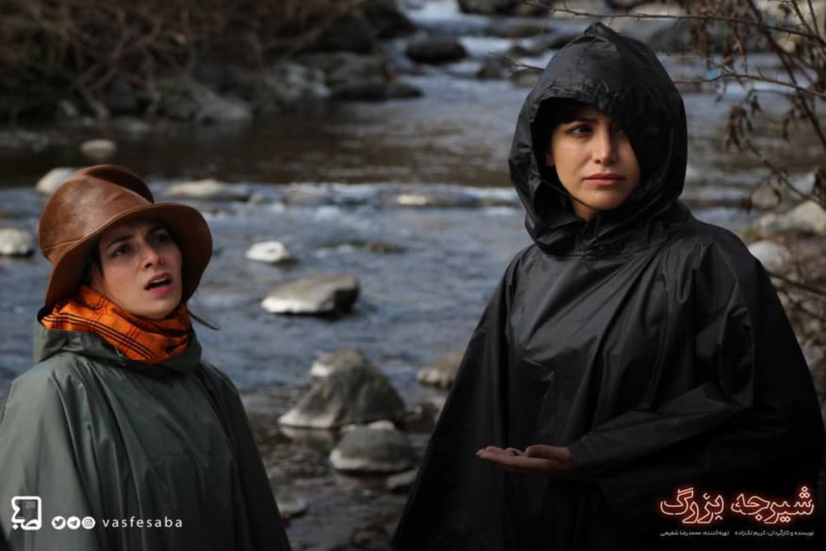 فيلم سینمایی «شيرجه بزرگ»