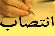 وحید قبادی دانا به عنوان رییس سازمان بهزیستی کشور منصوب شد