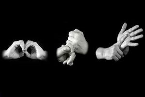 زبان اشاره، زبان همه