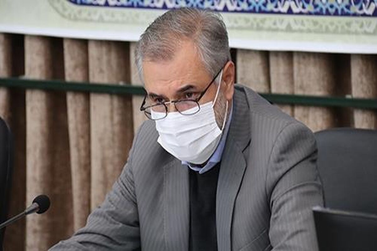 محمدرضا حبیبی
