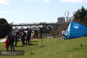 روز طبیعت در پل طبیعت