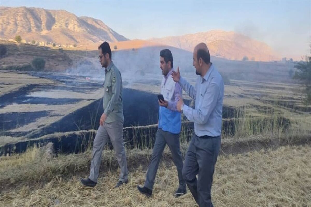 کشاورزی