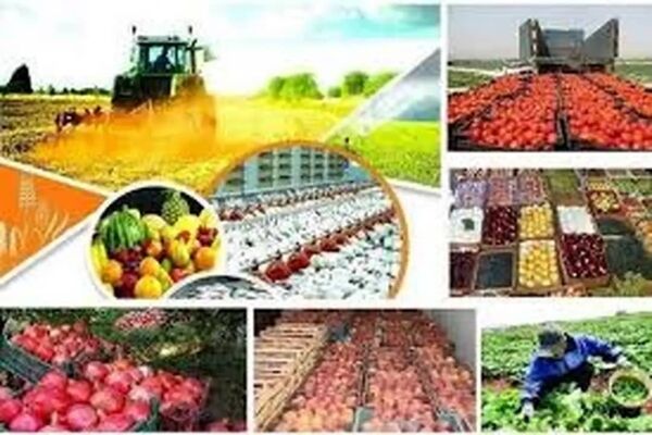 حذف عوارض آب مجازی از خرما، پسته، انجیر، انگور و چای ابلاغ شد