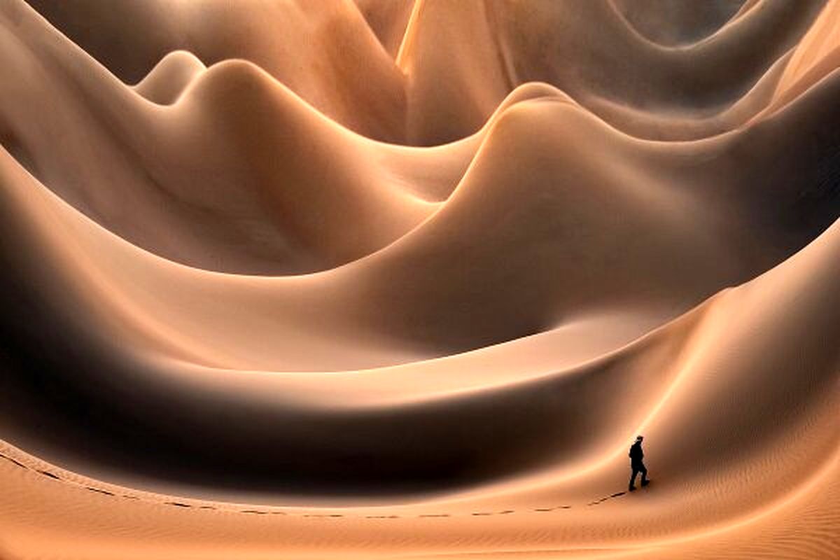 فدراسیون بین المللی هنر عکاسی (فیاپ)