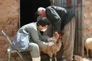 دامپزشکی در خط نخست پیشگیری از بیماری‌های مشترک انسان و حیوان است