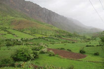 عملیات قرق مراتع قشلاقی شهرستان رومشکان آغاز شد