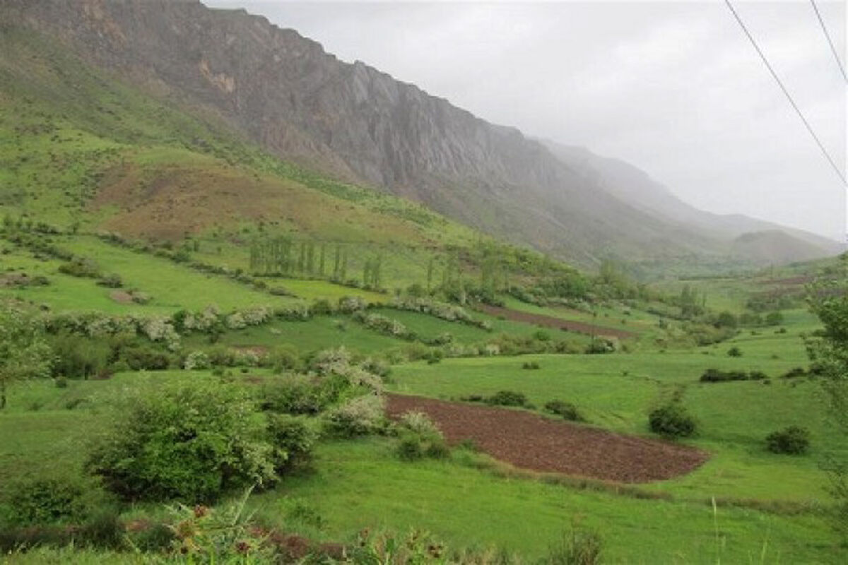 قرق مراتع لرستان