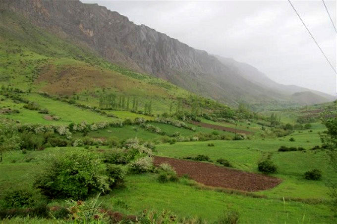 بیش از 2500 هکتار از مراتع شهرستان بروجرد قرق شد