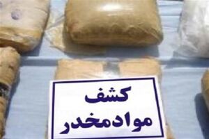 کشف محموله مواد مخدر در ملایر