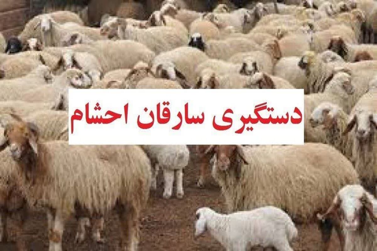 سارق احشام