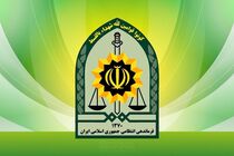 پلیس تهران درباره بازداشت بازیگر معروف سینما توضیح داد
