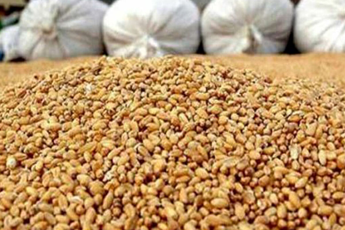 احتکار نهاده دامی