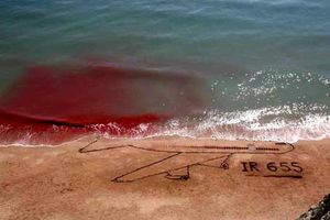 همصدایی هرمزگان با شهدای ایرباس ۶۵۵؛ فریاد علیه جنایت در سواحل خلیج فارس