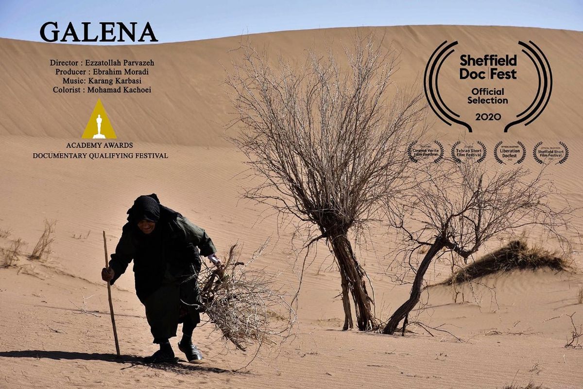 فیلم مستند گالین