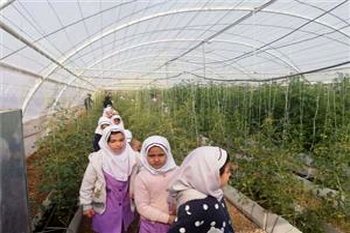 بازدید از گلخانه