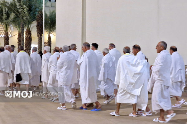 زمان تزریق واکسن مننژیت زائران حج اعلام شد