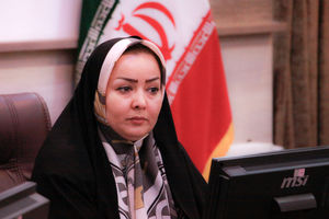 فساد در مجموعه ای شکل می‌گیرد که شفافیت و نظارت وجود نداشته باشد