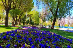 ۱۰ هکتار به فضای سبز شهرکرد افزوده می‌شود