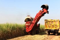 اولین نشست تخصصی کشت چغندر پاییزه در کشت و صنعت مغان برگزار شد