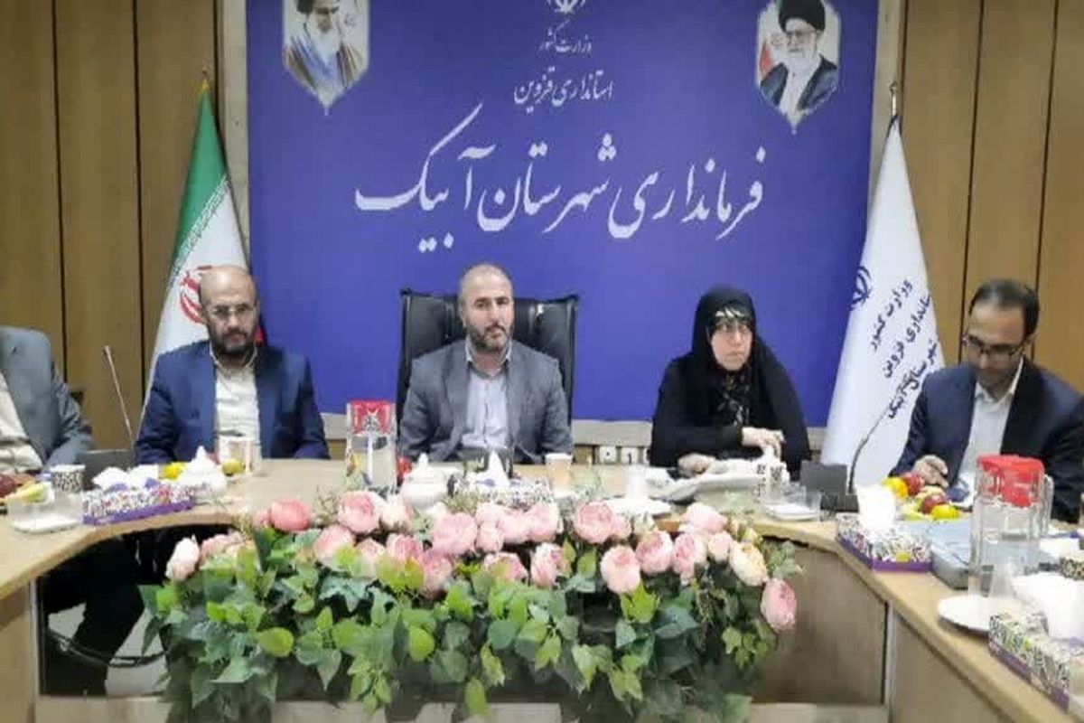 فرماندار ابیک (2)