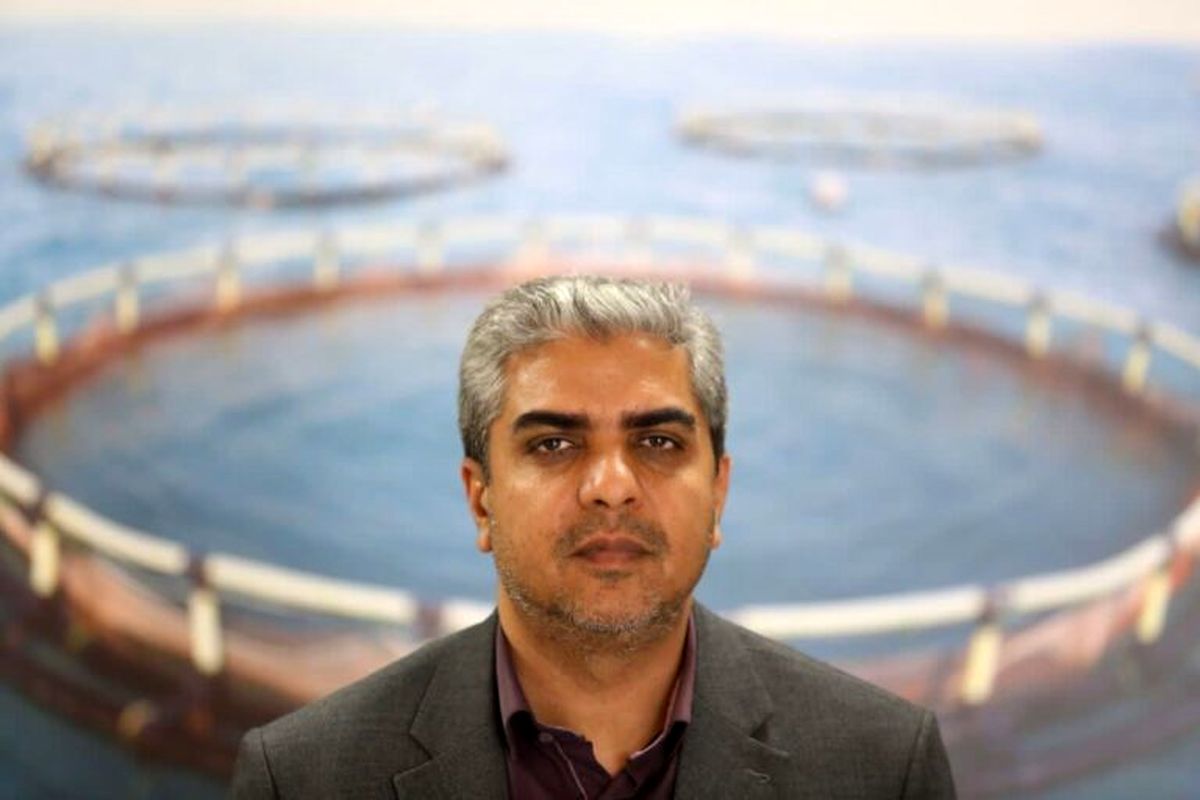 شیلات هرمزگان 