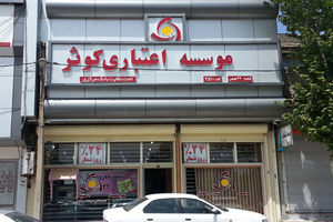  ادغام نهادهای بانکی مشروط به مصوبه شورای پول و اعتبار و مجوز بانک مرکزی است