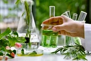 مرحله اول طرح توسعه اقتصاد زیستی در خراسان رضوی آغاز شد