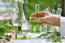 مرحله اول طرح توسعه اقتصاد زیستی در خراسان رضوی آغاز شد