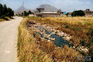 مزارع جنوب تهران از فاضلاب تغذیه می شود