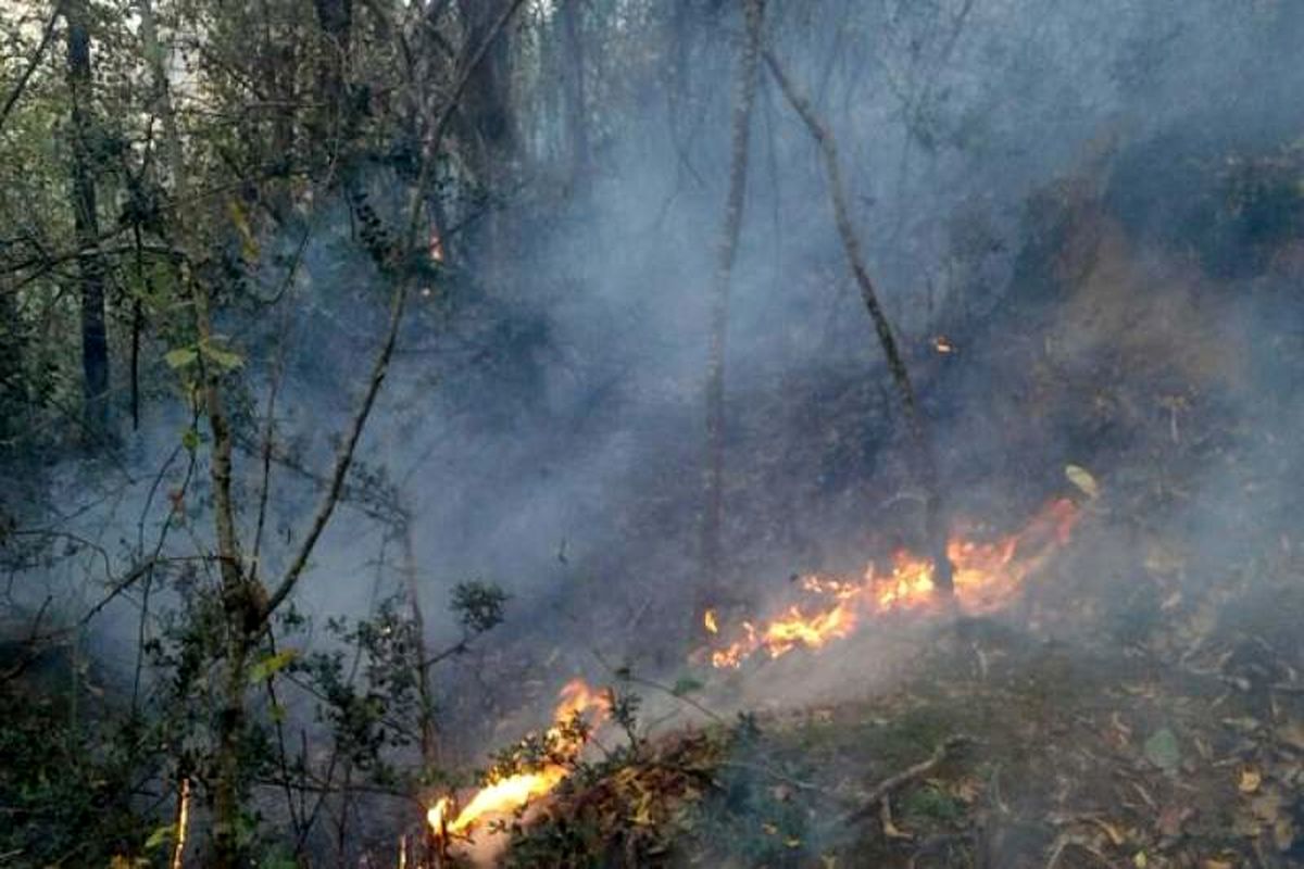 منابع طبیعی و آبخیزداری