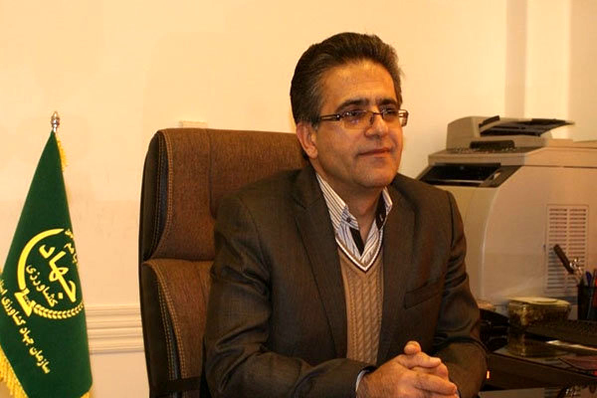 کریم ذوالفقاری