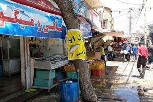 فعالیت صنوف دروازه کازرون شیراز در بازار پروتئین ادامه می‌یابد