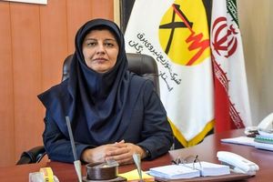 مدیرعامل جدید شرکت توزیع برق هرمزگان معرفی شد