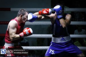 مسابقات انتخابی تیم ملی بوکس