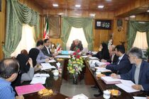 پرداخت تسهیلات به 530 طرح اشتغال زا در تالش