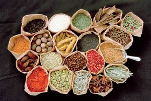 تحت پوشش بیمه قرار گرفتن خدمات طب سنتی در انتظار بررسی/ با تحت پوشش بیمه قرار دادن ویزیت موافقت شد 