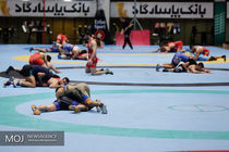 اردوی تیم ملی کشتی فرنگی از فردا برگزار می شود