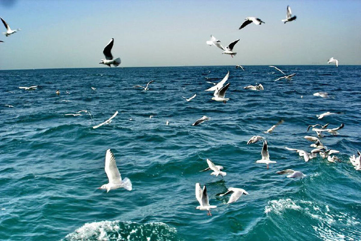 دریایییییییییییی