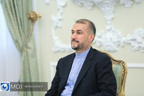 ایران می‌تواند شریکی مطمئن برای بریکس در آینده باشد