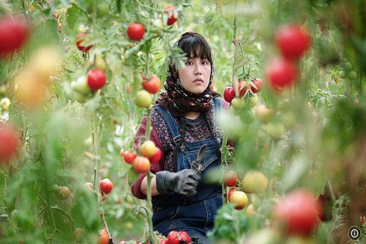 نمایش ویژه فیلم «در سرزمین برادر» در جشنواره کارلوی واری