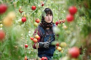 نمایش ویژه فیلم «در سرزمین برادر» در جشنواره کارلوی واری