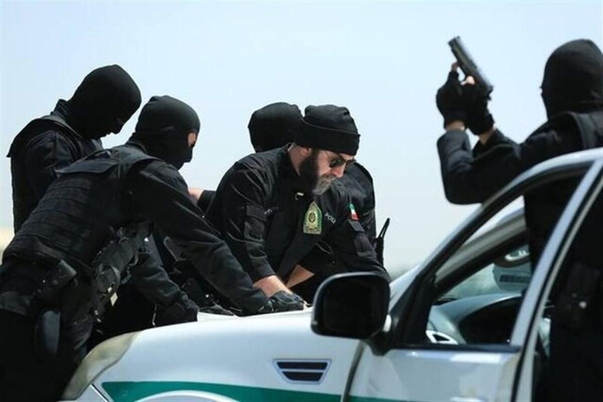 سریال سرزده