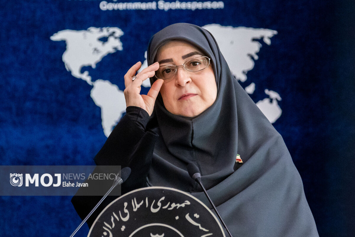 فاطمه مهاجرانی + سخنگوی دولت